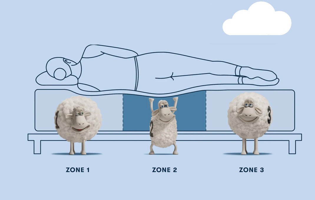Illustration of mattress zones with sheep