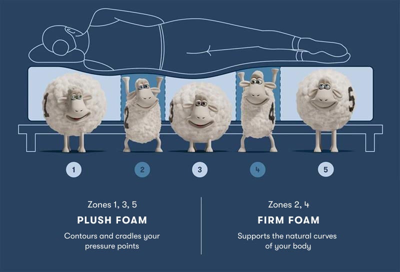 Foam Mattress Zones with Sheep Illustration