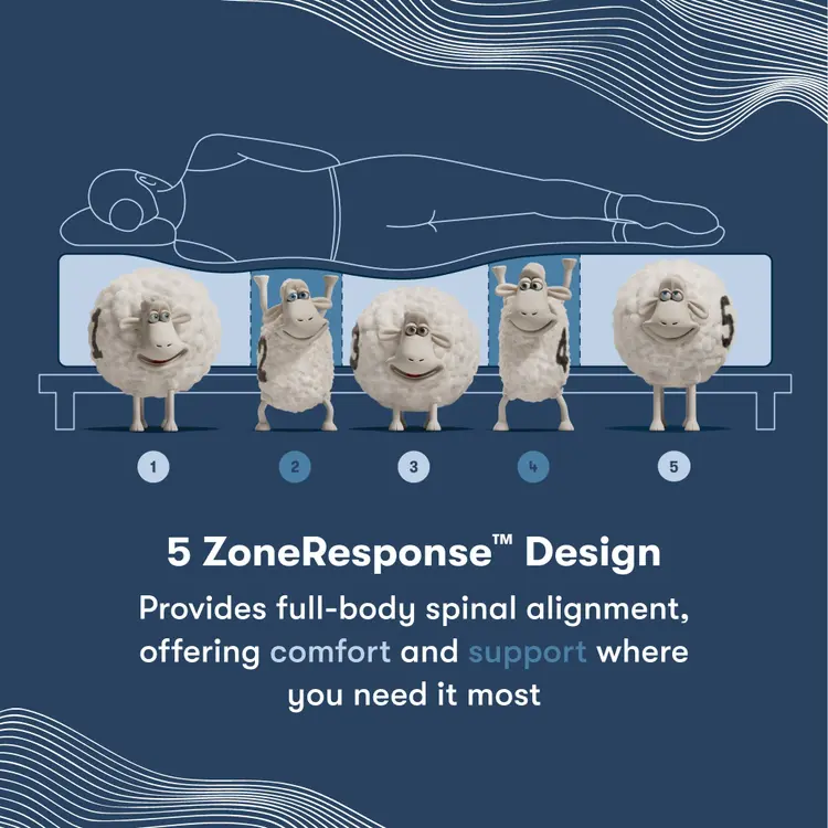 5 Zone Response Design image of sheep numbered 1-5 representing a section of each mattress that is holding up a silhouette of a woman laying on her left side.