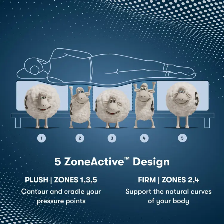 Perfect Sleeper Pro Hampton Extra Firm Mattress Component 5 Zone chart || level: Level 1 || feel: Extra Firm