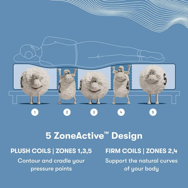 Perfect Sleeper X Quilted Hybrid Max Firm Pillow Top 5 Zone chart || feel: Firm Pillow Top || level: Level 2