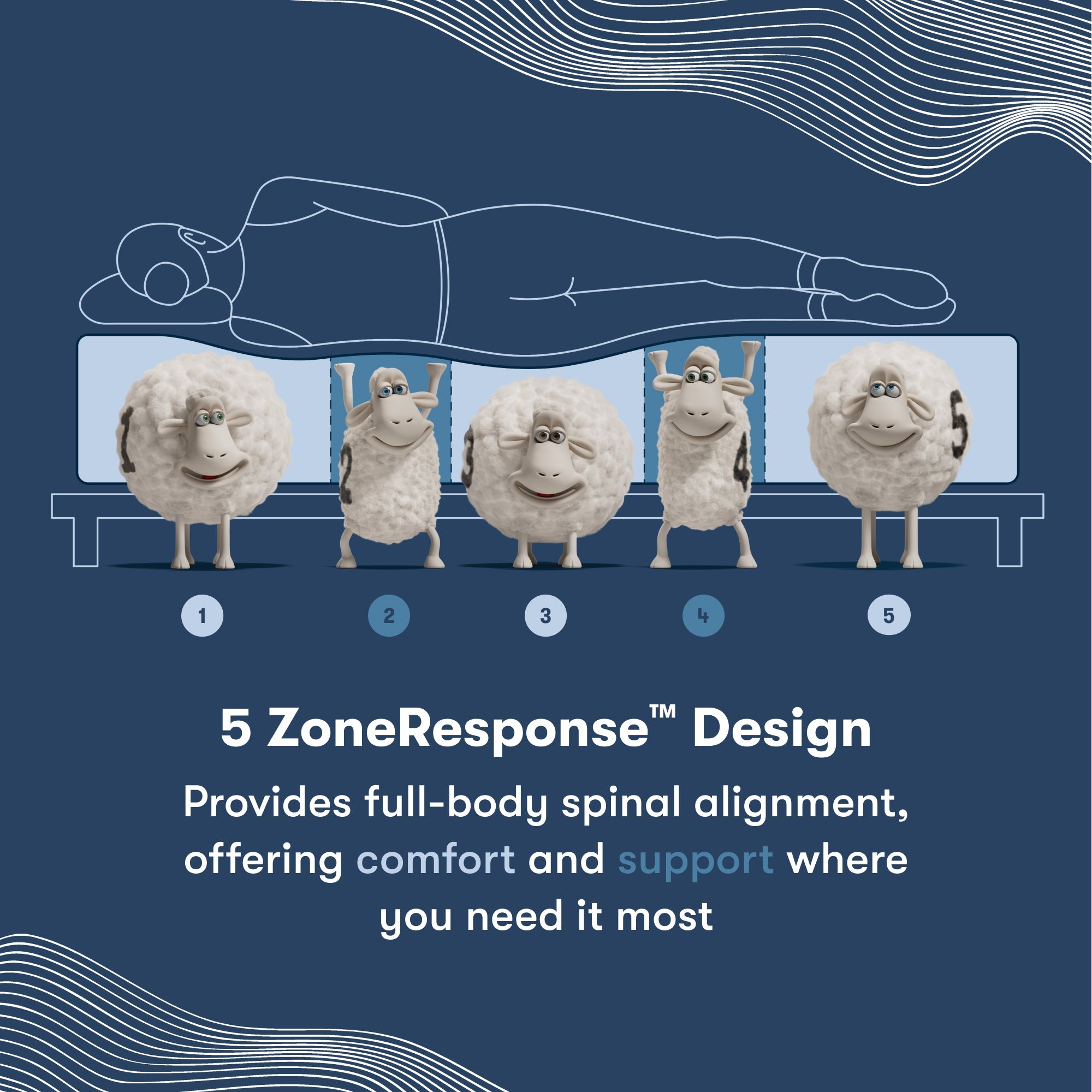 5 Zone Response Design image of sheep numbered 1-5 representing a section of each mattress that is holding up a silhouette of a woman laying on her left side.